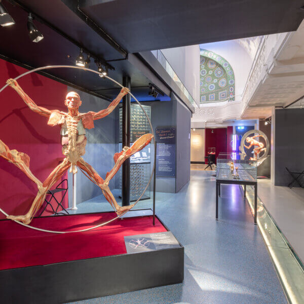 A Modern Leonardo in the Exhibition